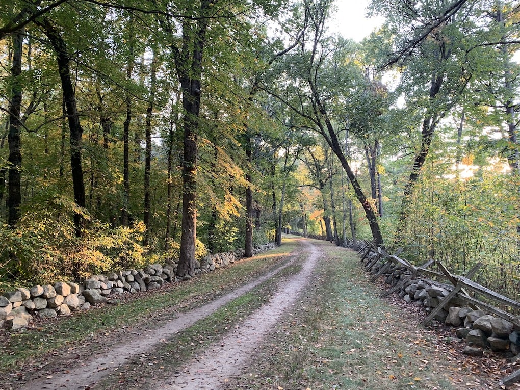 fall shot of battle road trail in concord ma